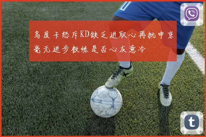 乌度卡怒斥KD缺乏进取心再批申京毫无进步教练是否心灰意冷