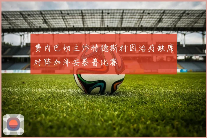 费内巴切主帅特德斯科因治疗缺席对阵加济安泰普比赛