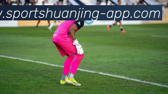 App Interface Preview